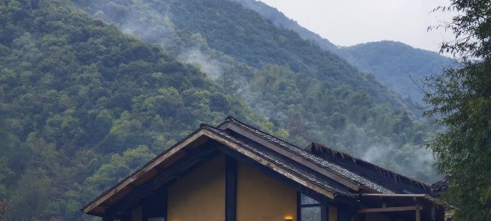 live in the mountains Hotels in Tonglu