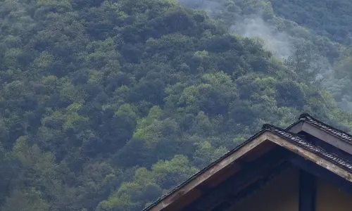 live in the mountains