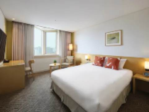 濟州中心城酒店 鄰近濟州Trickeye特麗愛3D美術館的酒店