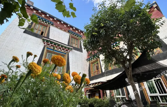 鄉城德吉嶺卡民宿