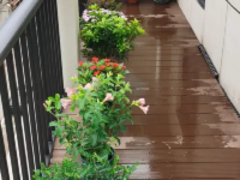 浦江新雅圖ホテル 浦江のホテル