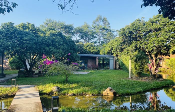 Luofu Lychee Forest Countryard
