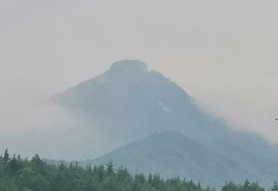 WSJ 마당 이미지