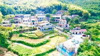 Mountain Wilderness Homestay - ห้องครัว