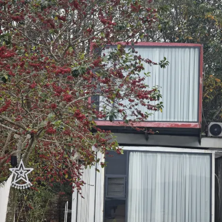 Longnan Sanwan Yingchi Homestay