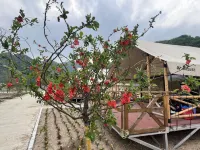 Yangyushi Campsite