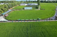 Lunar Star Retreat Hotels in Tieli