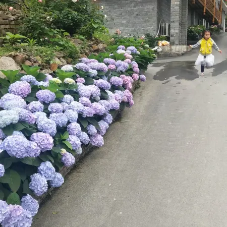 Qifeng Lake Shuijingwan Hotel