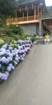Shuijingwan Homestay