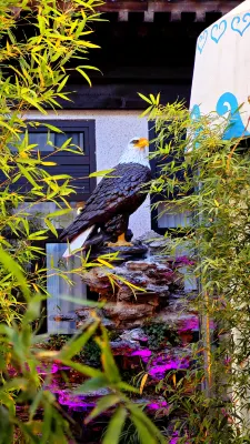 Taohua Island Jianghu Hot Spring Homestay Hotel (Xinzhou Ancient City Branch)