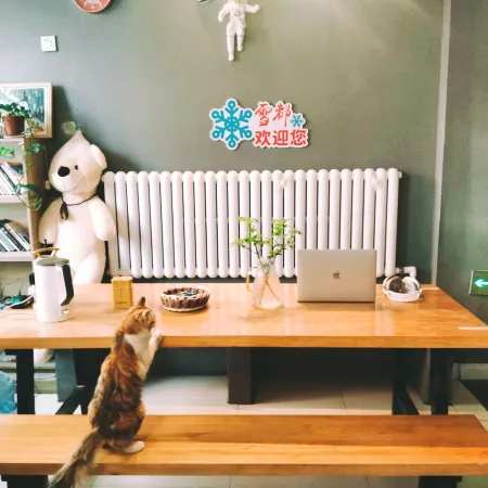 Unscrupulous Xueye Youth Travel Service