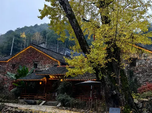 Xingshuli Guesthouse - Pools