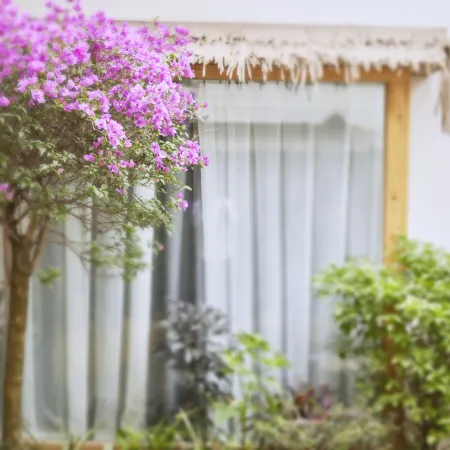 Leshan xunyin Homestay