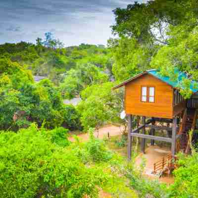 Sigiriya King's Resort Hotel Exterior