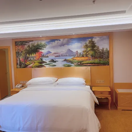 Vienna Hotel (Dingxi High Speed Railway Wanda Plaza)