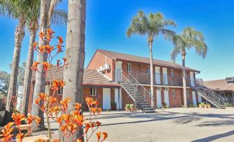 a red brick building with white trim , surrounded by palm trees and flowers , under a clear blue sky at Mildura Riverview Motel