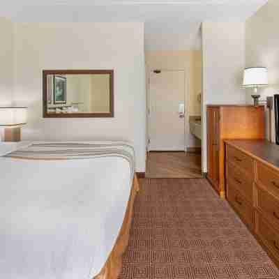 La Quinta Inn & Suites by Wyndham Sawgrass Rooms