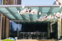 Shangri-La Hotel Tianjin - Romantic