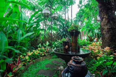 その他 ヴィアン ターペー リゾートの写真