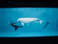 Shilin Xingleyuan Hotel Hotel a Shilin