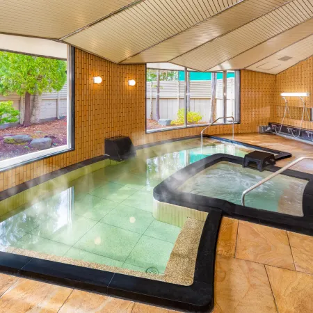 Asarigawa Onsen Hotel
