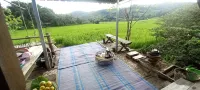 Chinopuu Hut Homestay Muangkong