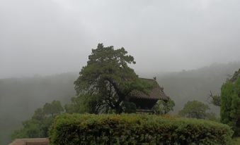 Jiaocheng Sanli Hotel