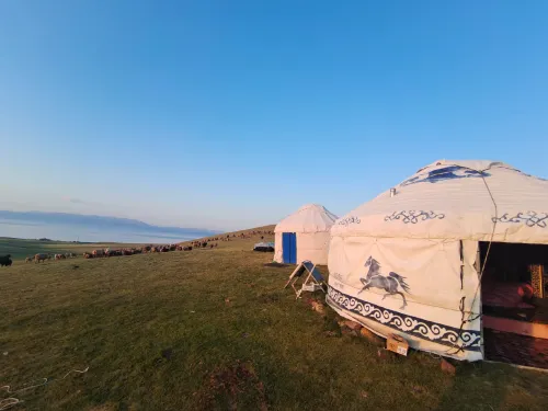 Sayram Lake Xingxing Yurt Homestay - Homestays