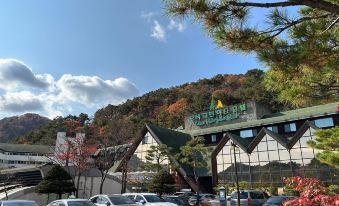 Osaek Greenyard Hotel - Housity