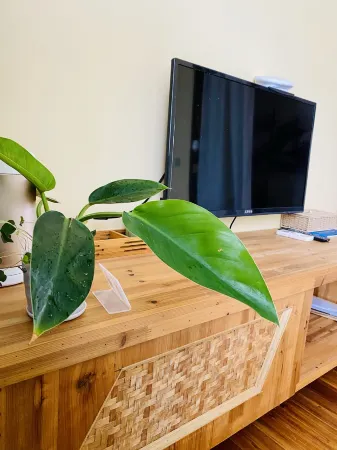 cunshangcunsu Отели рядом с достопримечательностью «Qushan Island»