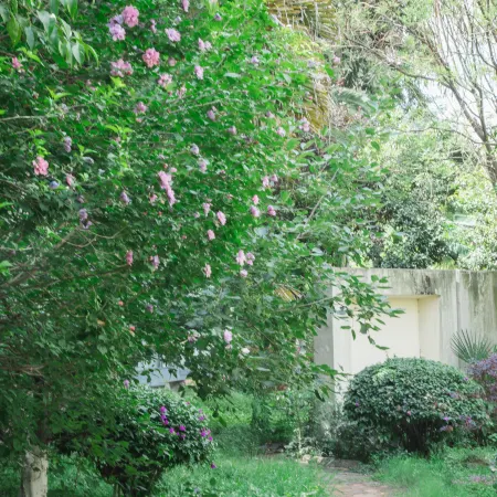 Anning Hot Spring Longjing Homestay