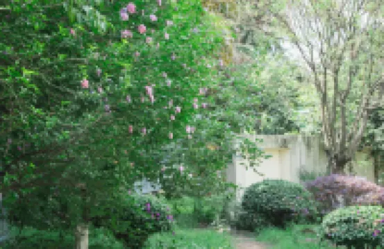 Anning Hot Spring Longjing Homestay