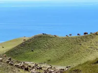Sayram Lake Lakeside Starry Sky Yurt Homestay