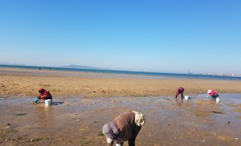 Mountain Haiyunsu (Weihai Banyuewan Beach Huanhai Road)