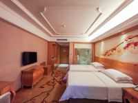 维也纳国际酒店(九江十里老街店) - 高级双床房