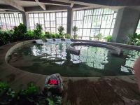霍山陡沙河温泉小镇 - 室内游泳池