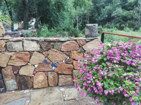 Nabu Mountain Su (Sanjiebei Branch, Shaolin Scenic Area, Lushan)