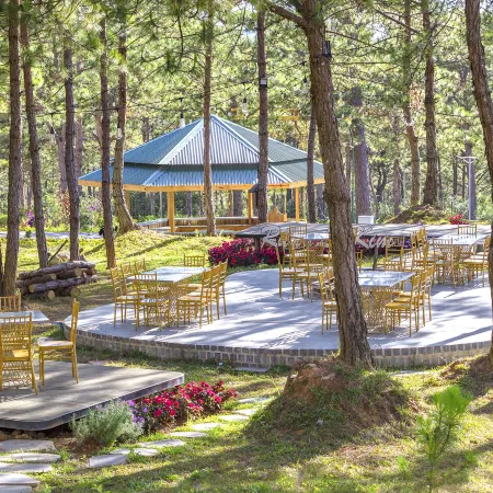 Kim Resort - Khu Nghĩ Dưỡng Rừng Lá Kim