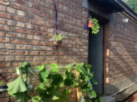 Comfortable Home Youth Homestay Hotels in Dachang