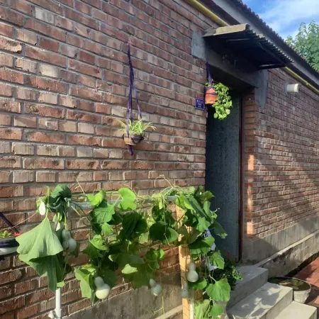 Comfortable Home Youth Homestay