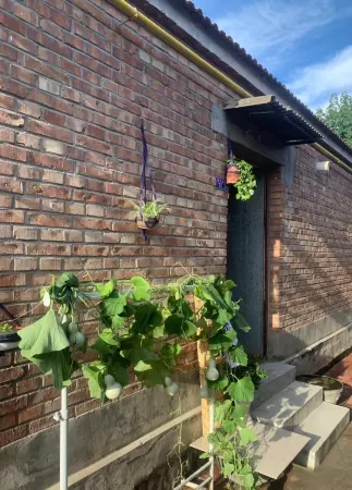 Comfortable Home Youth Homestay Отели рядом с достопримечательностью «Dachang Film and Television Town»