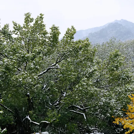 Longjing Xinqing Inn (West Lake Garden)