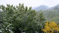 Longjing Xinqing Inn (West Lake Garden) - Bjergudsigt