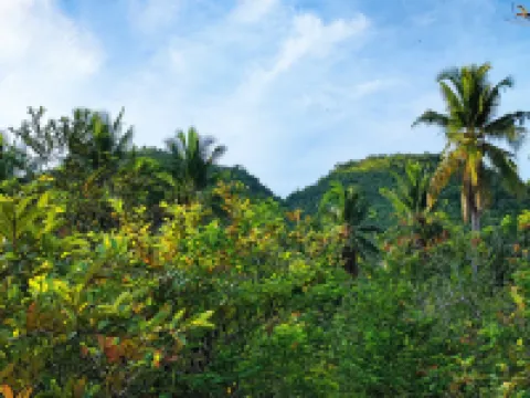 Rose Apartments Hotels in Anda