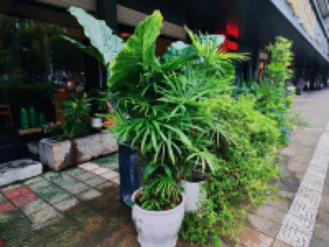 Ruoyin Hostel 양양왕부록영벽 주변 호텔