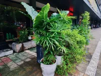 Ruoyin Hostel