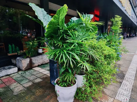 Ruoyin Hostel Отели рядом с достопримечательностью «Gulou Culture Square»