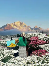 Date jade dragon snow mountain view guest house
