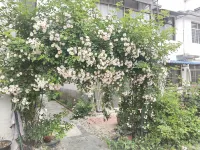 Shitai Noi Homestay Hotel in zona Guniujiang Nature Reserve