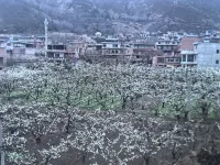 GuijingNo.1Homestay